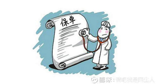 揭秘蜗牛保险与咨询服务的真相 我的亲身体验分享
